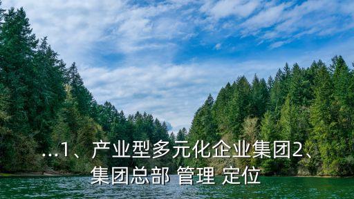 ...1、產業(yè)型多元化企業(yè)集團2、集團總部 管理 定位