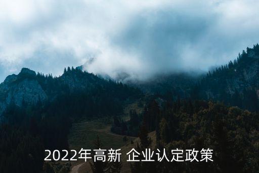 2022年高新 企業(yè)認定政策