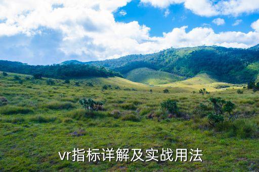  vr指標(biāo)詳解及實(shí)戰(zhàn)用法