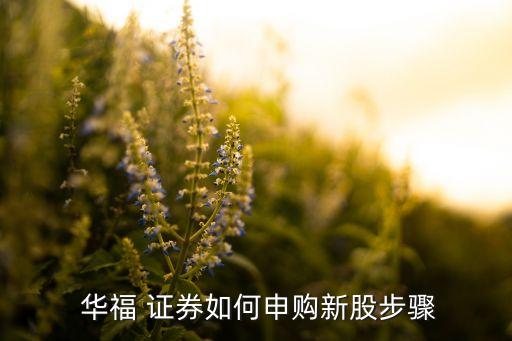  華福 證券如何申購(gòu)新股步驟