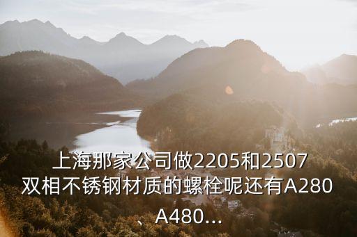  上海那家公司做2205和2507雙相不銹鋼材質(zhì)的螺栓呢還有A280、A480...