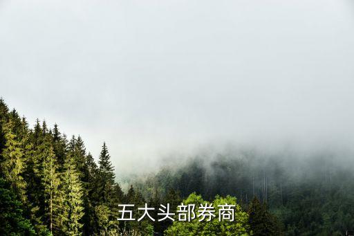 國(guó)泰君安證券股份有限公司佛山,深圳市國(guó)泰君安證券股份有限公司