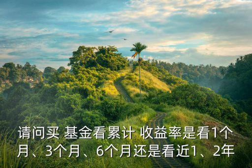 請問買 基金看累計 收益率是看1個月、3個月、6個月還是看近1、2年