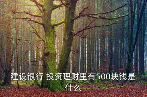 建設銀行 投資理財里有500塊錢是什么