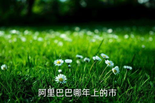 馬云公司上市時間,馬云螞蟻金服上市時間