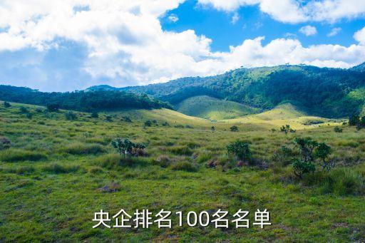 央企排名100名名單