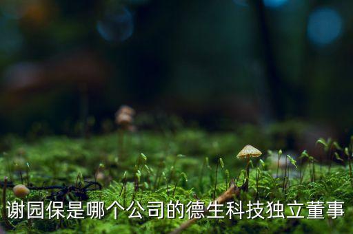 謝園保是哪個(gè)公司的德生科技獨(dú)立董事