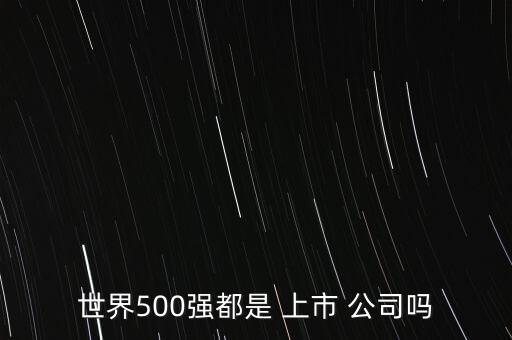 世界500強(qiáng)都是 上市 公司嗎