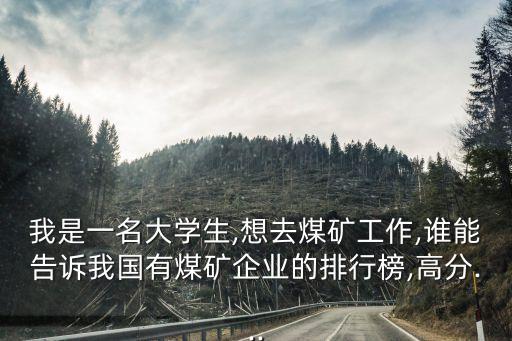 我是一名大學(xué)生,想去煤礦工作,誰(shuí)能告訴我國(guó)有煤礦企業(yè)的排行榜,高分...