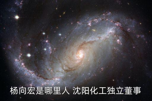 沈陽特力石化有限公司,沈陽鼓風(fēng)機集團石化泵有限公司怎么樣