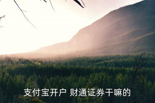 支付寶開戶 財(cái)通證券干嘛的