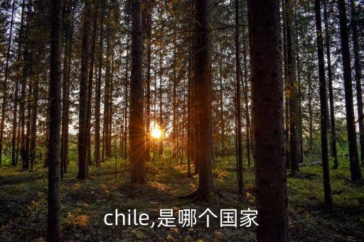 chile,是哪個國家