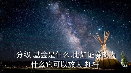  分級(jí) 基金是什么,比如證券B,為什么它可以放大 杠桿