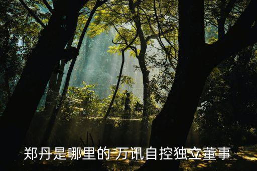 鄭丹是哪里的 萬訊自控獨(dú)立董事