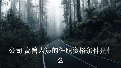  公司 高管人員的任職資格條件是什么