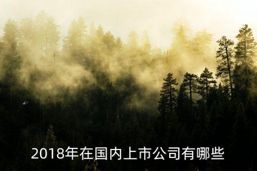 2018年在國內(nèi)上市公司有哪些