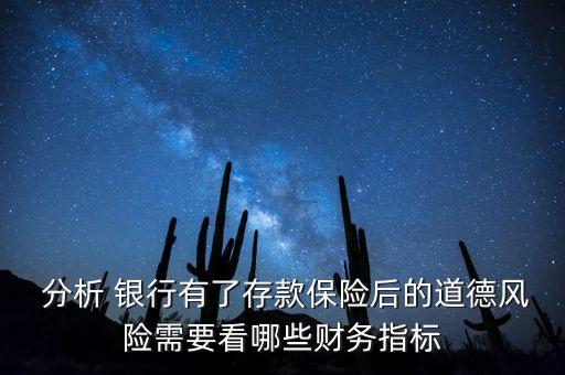  分析 銀行有了存款保險后的道德風險需要看哪些財務指標