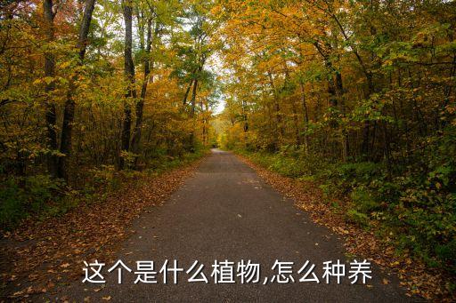 紅楓種苗股票,河南紅楓種苗股份有限公司