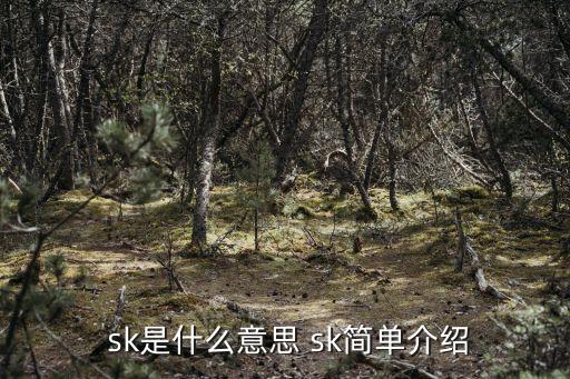  sk是什么意思 sk簡(jiǎn)單介紹