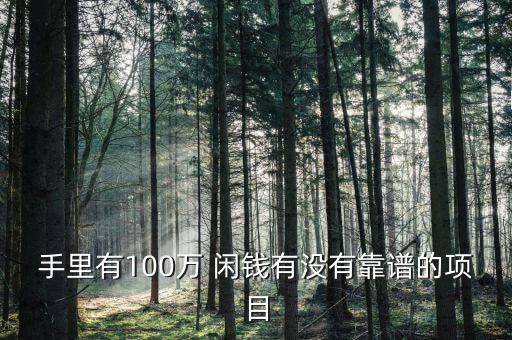 100萬閑錢投資啥,手里有20萬閑錢,該怎么投資?