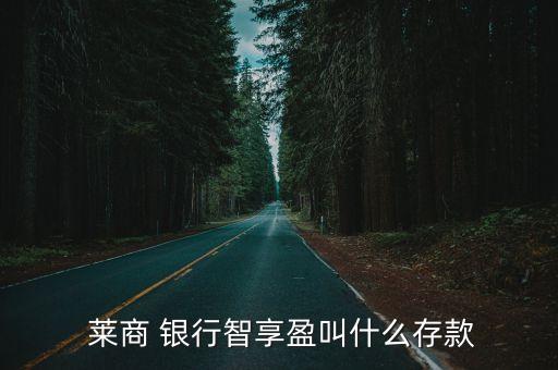  萊商 銀行智享盈叫什么存款