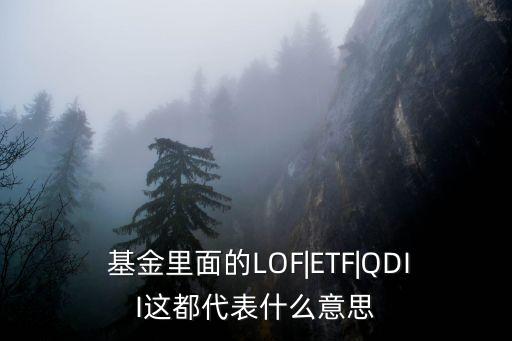  基金里面的LOF|ETF|QDII這都代表什么意思