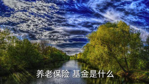  養(yǎng)老保險 基金是什么