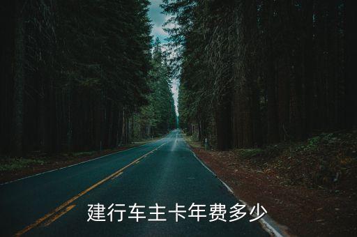 建行車主卡年費(fèi)多少