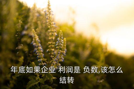 年底如果企業(yè) 利潤是 負數(shù),該怎么結(jié)轉(zhuǎn)