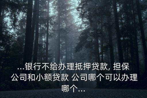 ...銀行不給辦理抵押貸款, 擔保 公司和小額貸款 公司哪個可以辦理哪個...