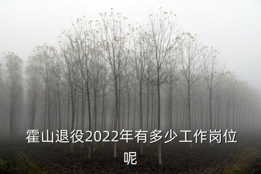  霍山退役2022年有多少工作崗位呢