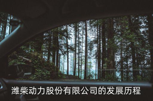 2008中國企業(yè)500強,最新中國企業(yè)500強名單