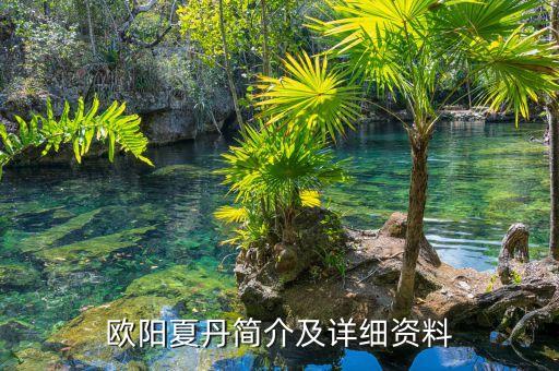 歐陽(yáng)夏丹簡(jiǎn)介及詳細(xì)資料