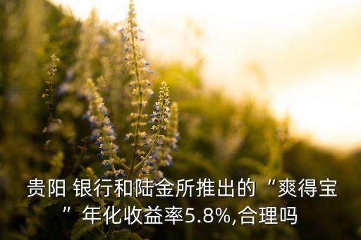  貴陽 銀行和陸金所推出的“爽得寶”年化收益率5.8%,合理嗎