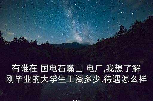 有誰在 國電石嘴山 電廠,我想了解剛畢業(yè)的大學生工資多少,待遇怎么樣...