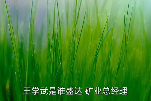 王學(xué)武是誰盛達 礦業(yè)總經(jīng)理