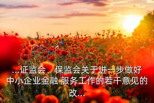 ...證監(jiān)會、保監(jiān)會關(guān)于進一步做好中小企業(yè)金融 服務(wù)工作的若干意見的改...