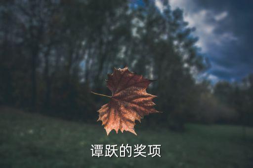 譚躍的獎(jiǎng)項(xiàng)