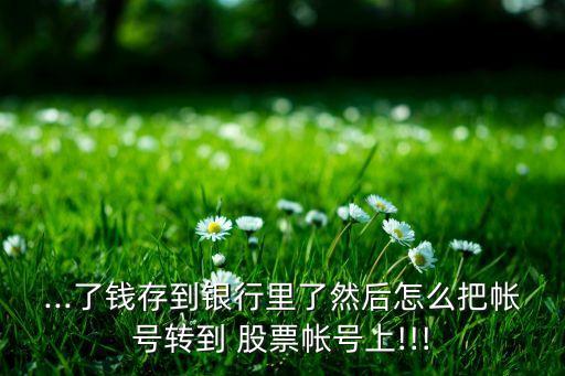 ...了錢存到銀行里了然后怎么把帳號(hào)轉(zhuǎn)到 股票帳號(hào)上!!!