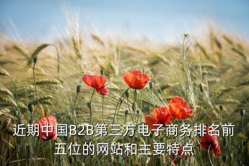 近期中國B2B第三方電子商務(wù)排名前五位的網(wǎng)站和主要特點