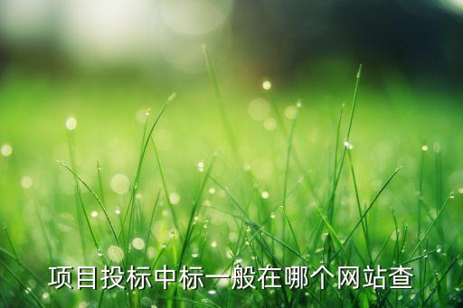 項目投標(biāo)中標(biāo)一般在哪個網(wǎng)站查