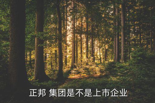 深圳正邦集團,正邦集團最新消息經(jīng)濟狀況