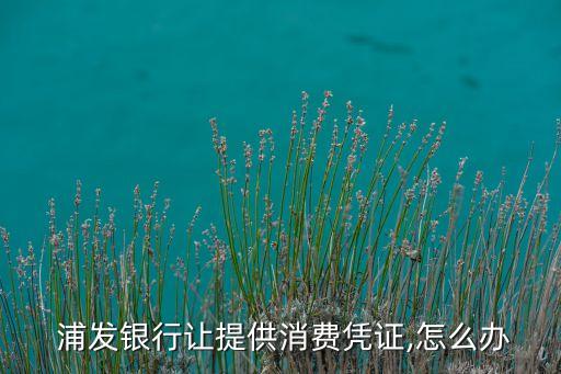  浦發(fā)銀行讓提供消費憑證,怎么辦