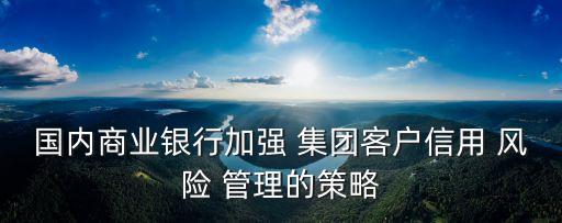 國內(nèi)商業(yè)銀行加強 集團客戶信用 風險 管理的策略