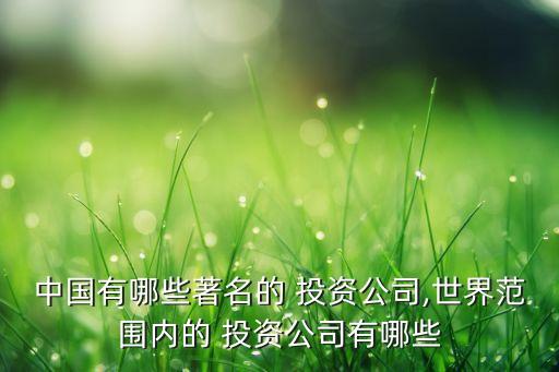 中國有哪些著名的 投資公司,世界范圍內(nèi)的 投資公司有哪些