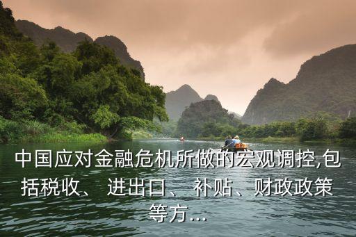 中國(guó)應(yīng)對(duì)金融危機(jī)所做的宏觀調(diào)控,包括稅收、 進(jìn)出口、 補(bǔ)貼、財(cái)政政策等方...