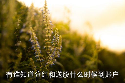 有誰(shuí)知道分紅和送股什么時(shí)候到賬戶