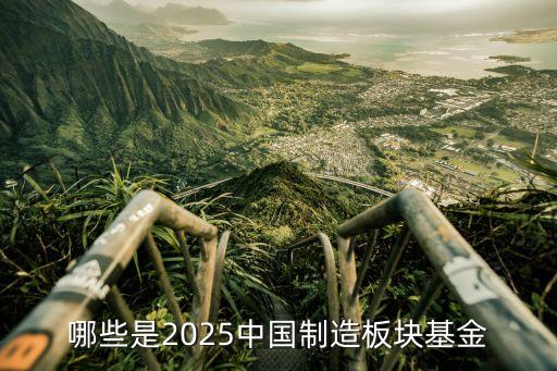 哪些是2025中國(guó)制造板塊基金