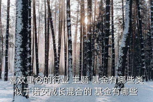 喜歡重倉的行業(yè) 主題 基金有哪些類似于諾安成長混合的 基金有哪些