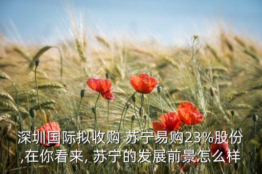 深圳國際擬收購 蘇寧易購23%股份,在你看來, 蘇寧的發(fā)展前景怎么樣